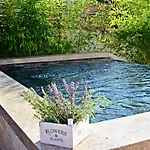 Ground Floor With A Private Pool