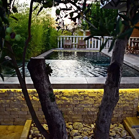 Ground Floor With A Private Pool Apartamento *