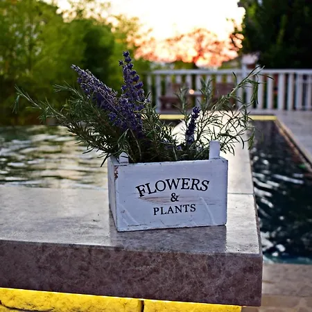 Ground Floor With A Private Pool Apartamento *